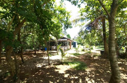 Guiuan Villa | Luxurious loft house