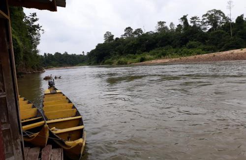 Kuala Tahan House | Matleon village