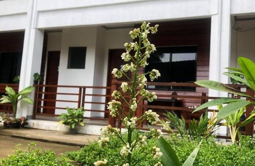 Siquijor Apartment | MLB Beachfront Apartment