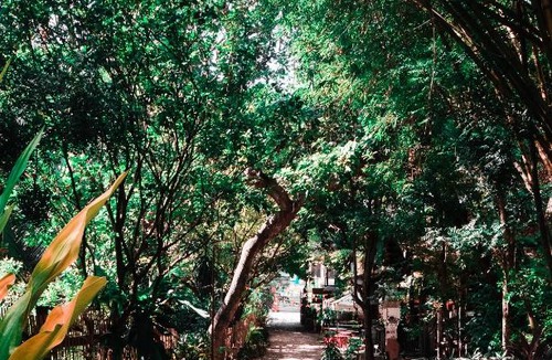 Tagbilaran Hostel | Oasis Balili Heritage Lodge