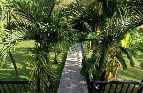 Gaspar Hernandez House | Ojo de agua Eco Ranch