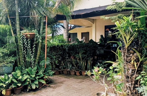 Mambajao House | One Bedroom House on Mambajao Camiguin Island - 5 min Drive to Ardent Hot Spring