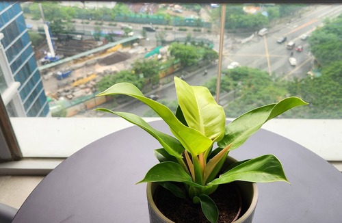 Taguig Condo | One Bedroom Luxury Condo in Uptown BGC w PoolGym Wi-Fi Netflix Balcony