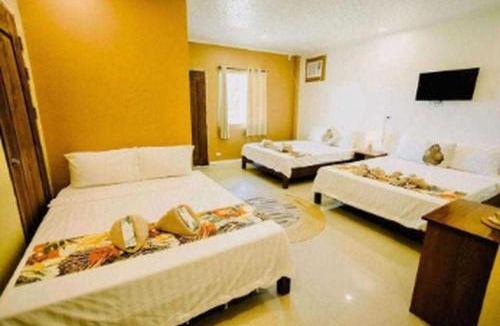Looc Resort | Palette Lifestyle Resort Near Panglao Beach