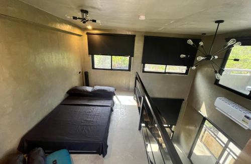 Patar Bed & Breakfast | Patar Palms