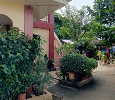 Tawala Apartment | Peace Lily Studio Apartments Panglao