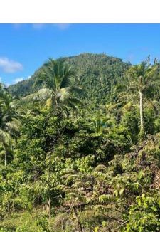 San Benito House | Philippine Mountain Eco Resort