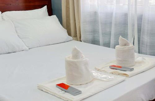 Puerto Princesa City Centre House | Pineda Villa