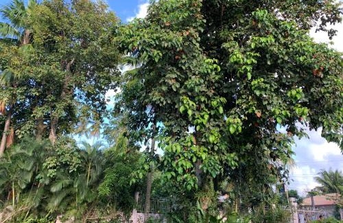 Dipolog House | Powers Holiday vacations
