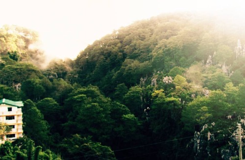 Sagada Resort | Private room ∙ 2 guests