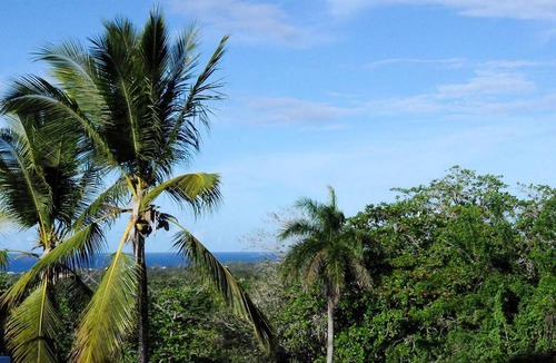 Sosua Apartment | Quiet, inexpensive condo immersed in green, perfect for singles