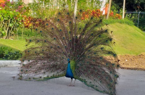 Hato Mayor del Rey House | RANCHO TURISTICO DC.