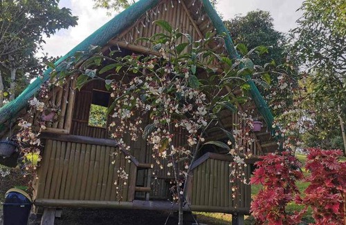 Pulot Resort | Resort ∙ 1 bedroom ∙ 3 guests
