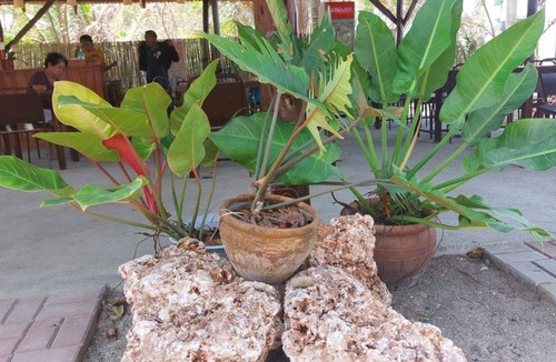 Bolinao Resort | Resort ∙ 1 bedroom ∙ 4 guests