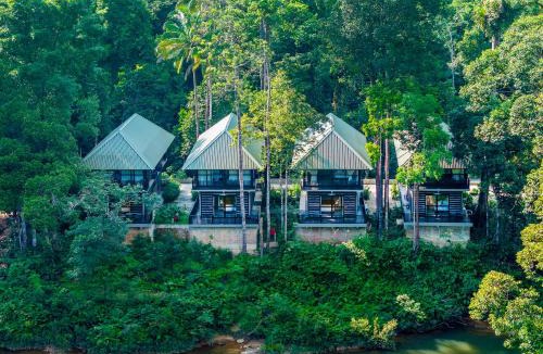 Sembrong Cabin | Rompin Rainforest Lodge