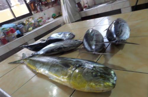 San Isidro House | Sailfishbay Surf And Big Game Fishing Lodge