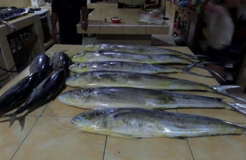 San Isidro House | Sailfishbay Surf And Big Game Fishing Lodge