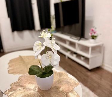 Santa Rosa Apartment | Santa Cosy Villa B Fast Wi-Fi, Netflix Included Split system Air-con & Hot Shower