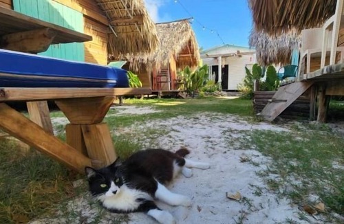 Mano Juan Hotel | Saona Lodge