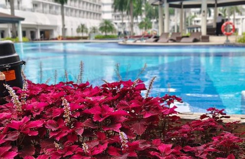Barangay 76 Apartment | Shellside MOA staycation - Jeric