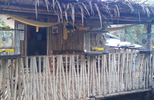 Angono RV Rental | Singalong Nature Camphill Site