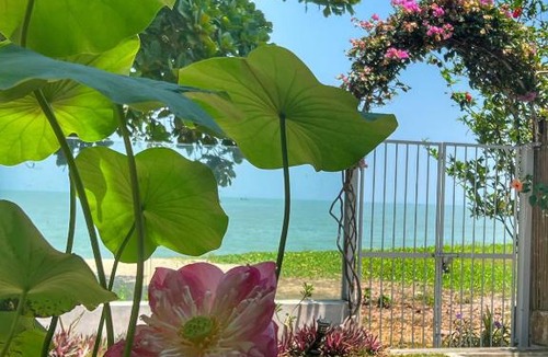 Tanjung Bungah House | Smell rose beach garden