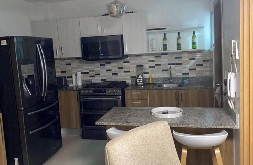 Punal Condo | Spacious Condo with Pool, Gym, and Central AC in Santiago