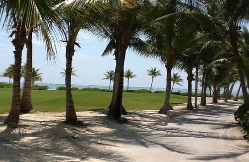 Punta Cana Apartment | Spacious 3 BDR fully-equipped condo with pool and golf view