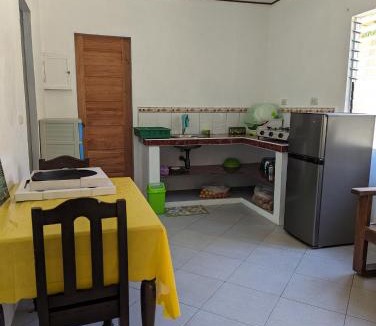 Manoc-Manoc Apartment | staylocalPH - Green House Boracay