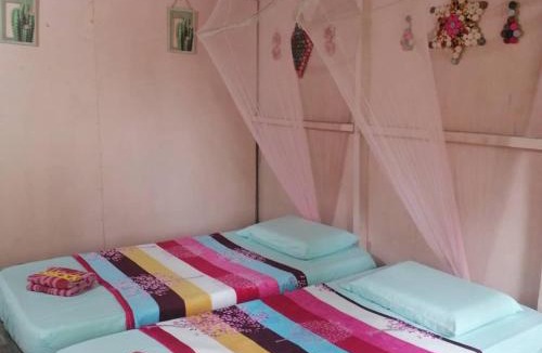 Kota Kinabatangan Bed & Breakfast | Sukau Sandipau Stay