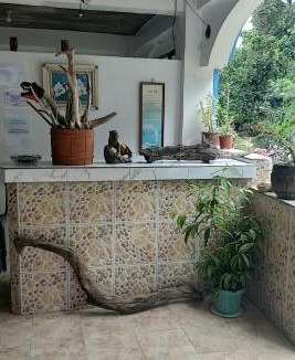 Lidlidda House | Swayna Homestay - By Eastdee