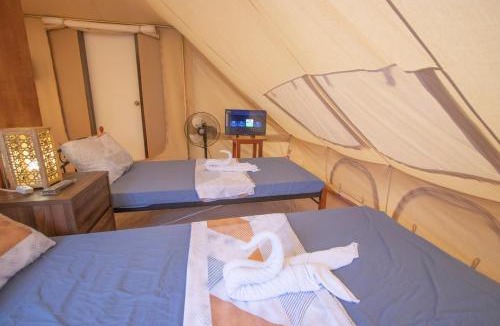 Carmen Cabin | The Acacia Glamping Park
