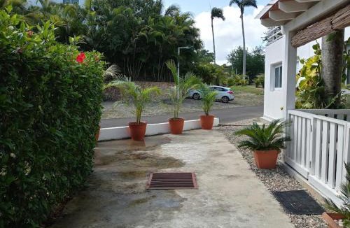 Sosua Apartment | The little white swan