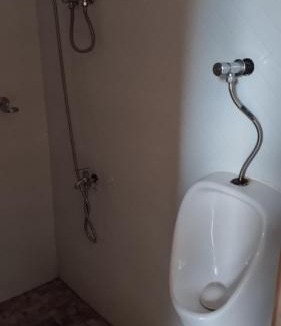 Panglao House | The Roaming Nest - Panglao