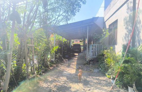 Bangui Apartment | The Stopover at Bangui Windmills