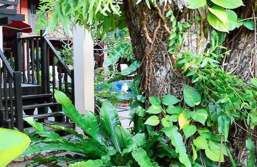 Santubong Hostel | The Village House