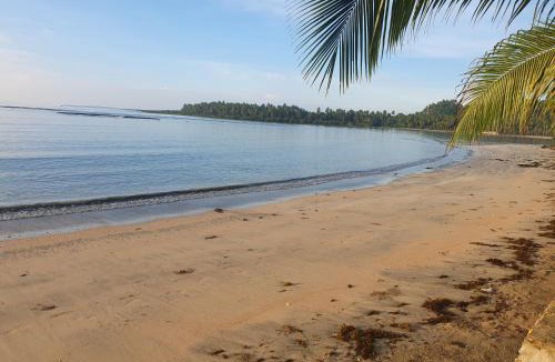 Can-Avid Resort | The White Beach