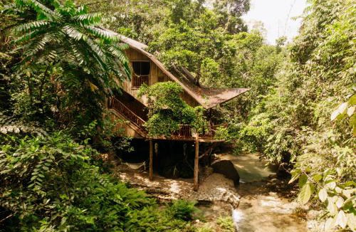 Balamban Cabin | Treehouse de Valentine