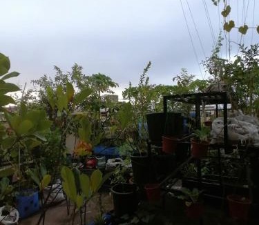 Dagupan Bed & Breakfast | Two-Hearts Dormitory