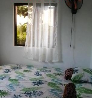 Luna Bed & Breakfast | Uncle Bob&Tere Beachfront House