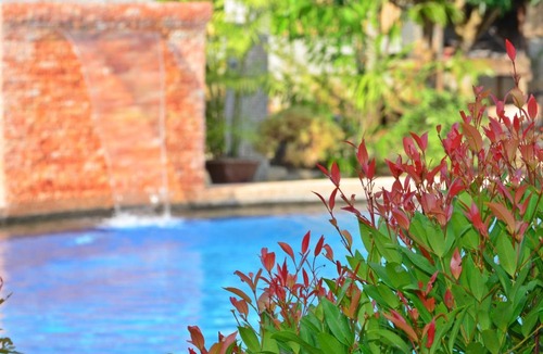 Looc Resort | Veraneante Resort