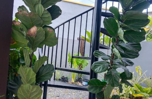 Kuala Teriang House | Villa Adeeva Homestay Langkawi