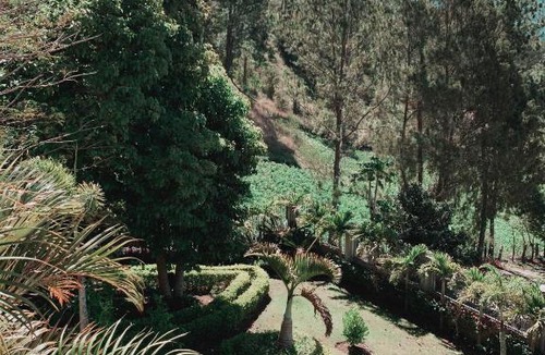 Constanza Villa | Villa paloma