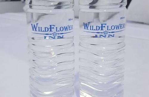 Mangaldan Hotel | Wildflower Inn