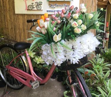 Dingalan Resort | Zen Tierras Farm by Cocotel