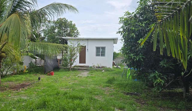 Ant & Minnies Chalet in Lubao