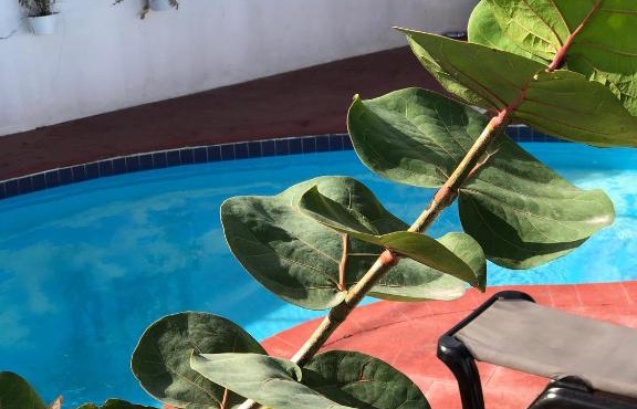 Barlovento in Punta Cana
