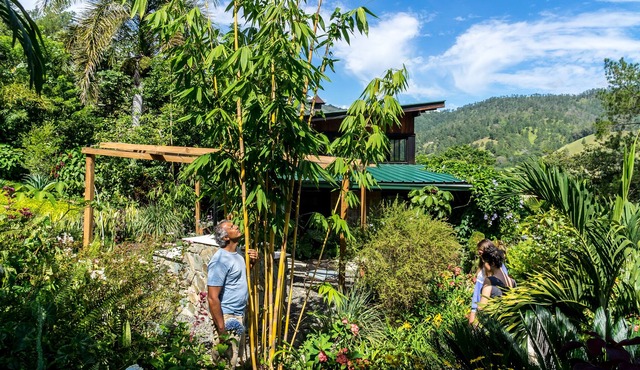 Beautiful Quintas del Bosque villa with hikes, gardens & a place for relaxation. in Jarabacoa
