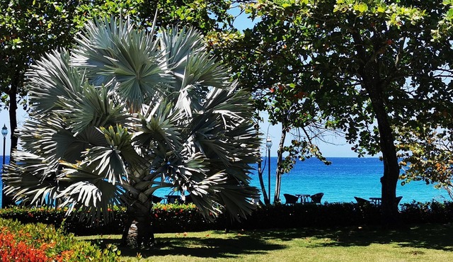 Breathtaking Beachfront Condo with Ocean Views Free Weekly Maid Service in Sosúa