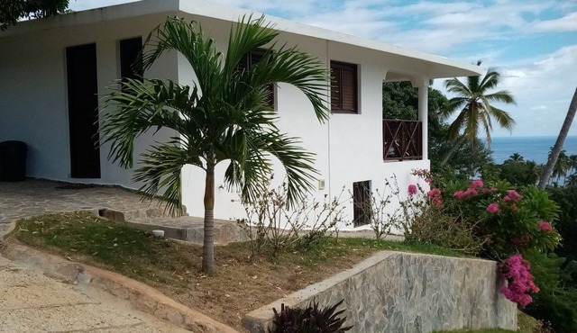 Bungalow für 3 Gäste mit 50m² in Punta Balandra in Punta Balandra